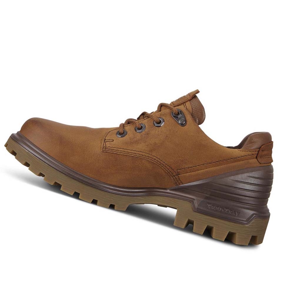 Men's Ecco Tredtray Hiking & Trail Brown | Canada 575PJJ